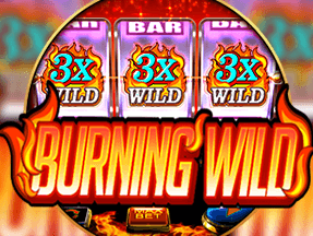 Burning Wild screenshot